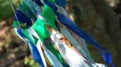 风向袋特征的图像