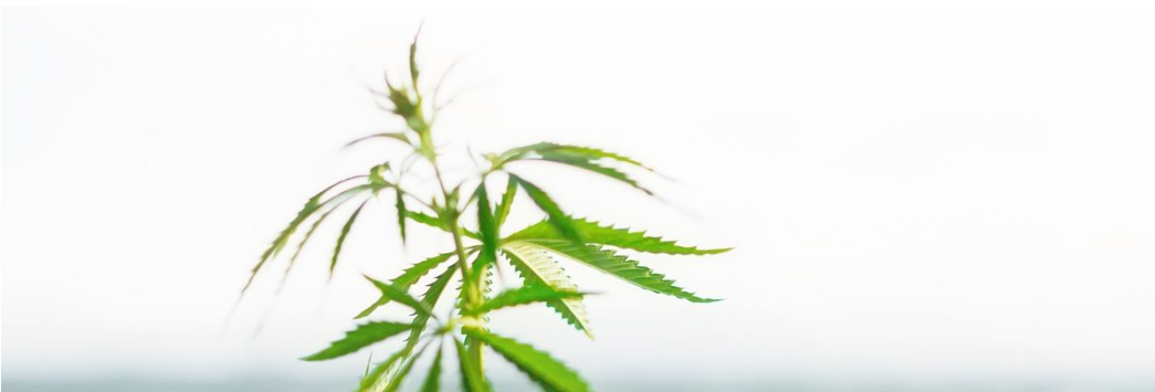 健康与身体