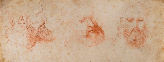 对大胡子男子的三项研究