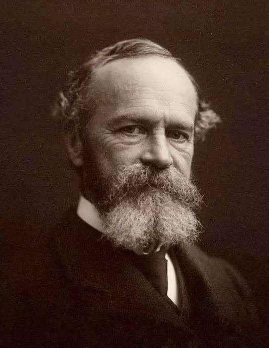 威廉·詹姆斯（WilliamJames）照片